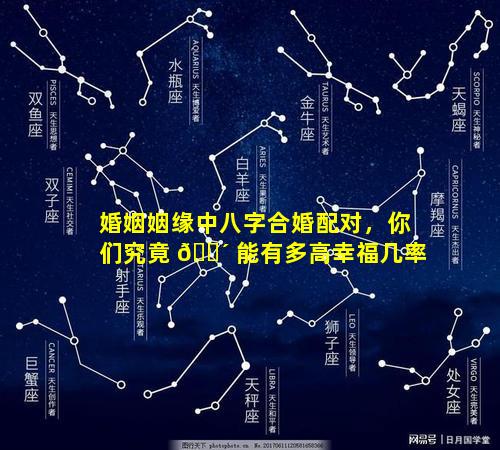 婚姻姻缘中八字合婚配对，你们究竟 🌴 能有多高幸福几率